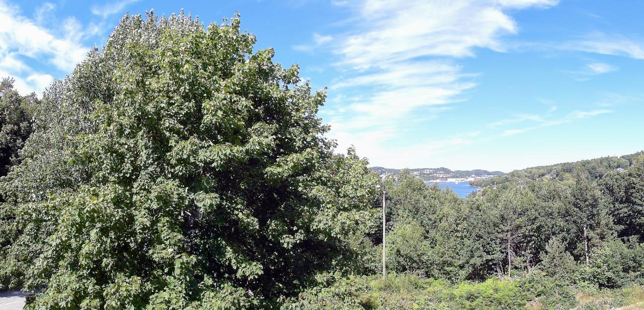 Tromoy Arendal Διαμέρισμα Εξωτερικό φωτογραφία